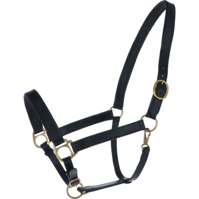 Abbildung von Kerbl Halfter Eco Leder Schwarz Vollblut