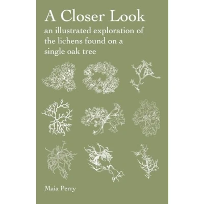 Abbildung von a Closer Look: An Illustrated Exploration of the Lichens Found on Single Oak
