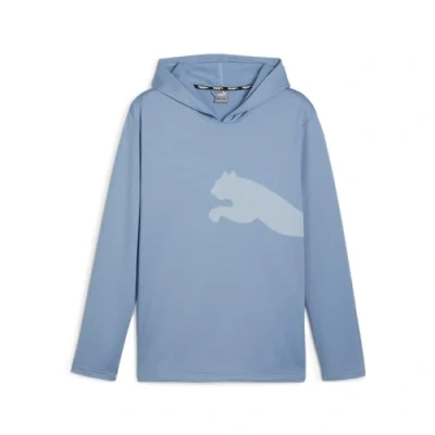 Abbildung von PUMA Herren Train All Day Big Cat Kapuzenpullover