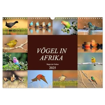 Abbildung von Vögel in Afrika Magie der Farben (Wandkalender 2025 DIN A3 quer), CALVENDO Monatskalender