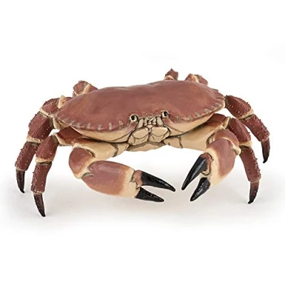 Abbildung von Papo Crabe REALISTE Pädagogische Meeresfigur ab 3 Jahren Sea World handbemalt REGT die Fantasie an 8cm x 7,5cm 2,5cm pädagogisches Spielzeug Geschenkidee