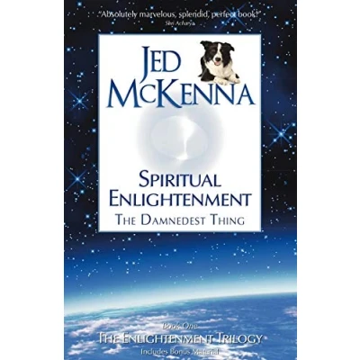 Abbildung von Spiritual Enlightenment, The Damnedest Thing: Book One of Enlightenment Trilogy