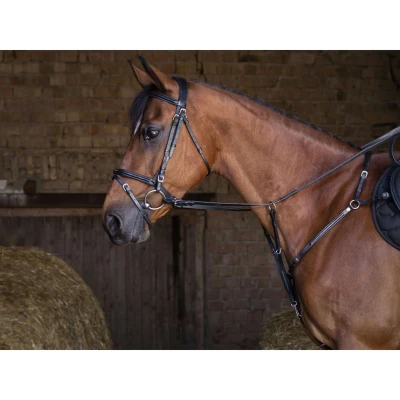 Abbildung von Eric Thomas Brustgeschirr Hybrid Schwarz Pony