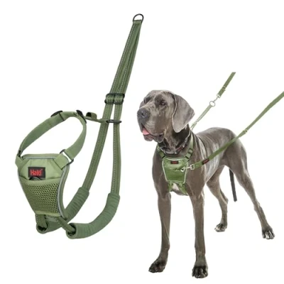 Abbildung von HALTI No Pull Anti Zug Geschirr Verhindert, DASS Ihr Hund an der Leine zieht, Gepolsterter Brust und Beingurt, Reflektierendes Gurtmaterial, Einfache Anpassung Benutzung (Größe L, Waldgrün)
