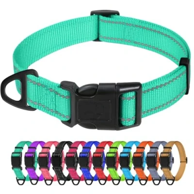 Abbildung von TagME Nylon Hundehalsband, Verstellbares Reflektierendes Hundehalsband mit Sicherheitsschnalle für Kleiner Hund, Türkis, 2.0cm Breite