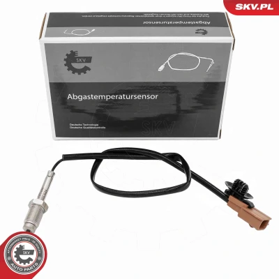 Abbildung von Sensor, Abgastemperatur ESEN SKV 30SKV480