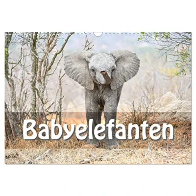 Abbildung von Babyelefanten (Wandkalender 2025 DIN A3 quer), CALVENDO Monatskalender
