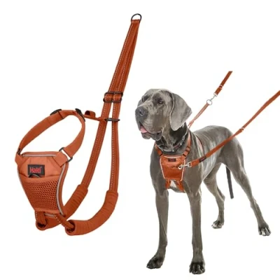 Abbildung von HALTI No Pull Anti Zug Geschirr Verhindert, dass Ihr Hund an der Leine zieht, Gepolsterter Brust und Beingurt, Reflektierendes Gurtmaterial, Einfache Anpassung Benutzung (Größe L, Dunkelorange)