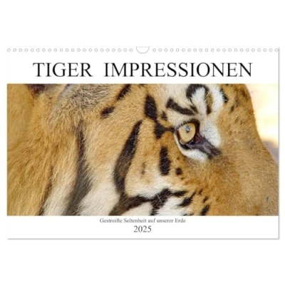 Abbildung von TIGER IMPRESSIONEN Gestreifte Seltenheit auf unserer Erde (Wandkalender 2025 DIN A3 quer), CALVENDO Monatskalender