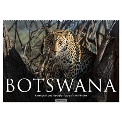 Abbildung von Botswana Landschaft und Tierwelt (Wandkalender 2025 DIN A2 quer), CALVENDO Monatskalender