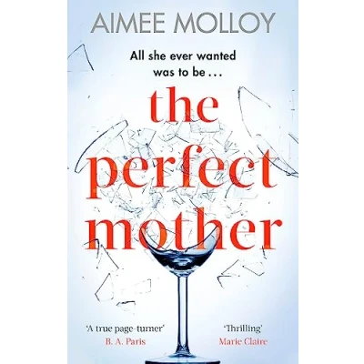 Abbildung von The Perfect Mother: a gripping thriller with nail biting twist