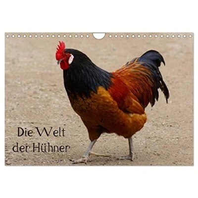 Abbildung von Die Welt der Hühner (Wandkalender 2025 DIN A4 quer), CALVENDO Monatskalender
