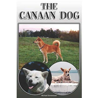 Abbildung von The Canaan Dog: A Complete and Comprehensive Owners Guide to: Buying, Owning, Health, Grooming, Training, Obedience, Understanding Caring for Your Dog