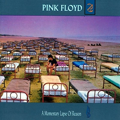 Abbildung von A Momentary Lapse Of Reason (remastered)