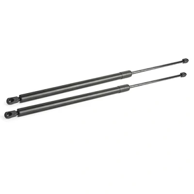 Abbildung von LST 2x Gasdruckfeder Heckklappen Dämpfer 770 N hinten Camper W447