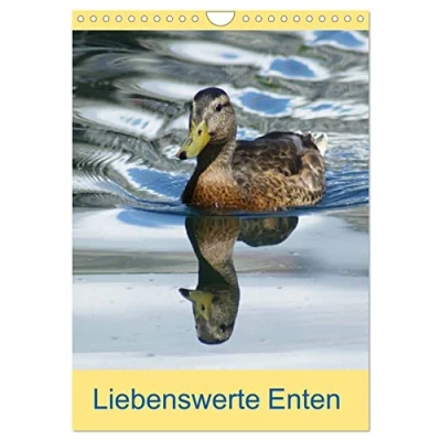Abbildung von Liebenswerte Enten (Wandkalender 2025 DIN A4 hoch), CALVENDO Monatskalender