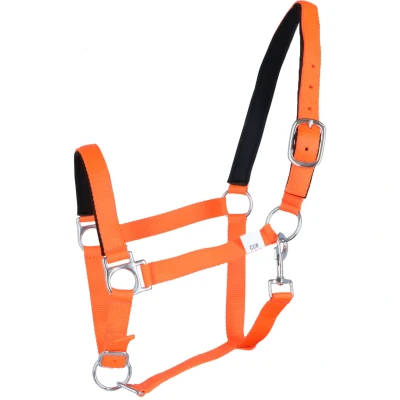 Abbildung von HKM Halfter Stars Softice Neon Orange XWarmblut