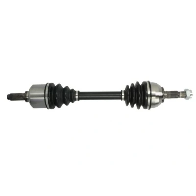 Abbildung von Antriebswelle PASCAL G2P052PC