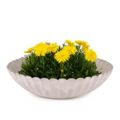 Abbildung von matches21 Pflanzschale für draußen Dekoschale Sand Farben grau geriffelt als Blumentopf Pflanztopf runde Blumen Schale in 28 cm Garten, Balkon oder Friedhof Grabschale