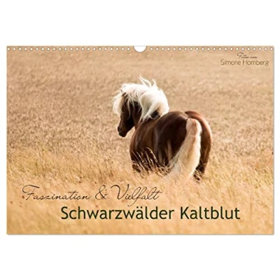 Abbildung von Faszination und Vielfalt Schwarzwälder Kaltblut (Wandkalender 2025 DIN A3 quer), CALVENDO Monatskalender