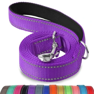 Abbildung von Joytale Hundeleine Kleine Hunde Leicht, Doppelseitig Reflektierende Leine Hund aus Nylon mit Gepolstertem Griff, 1,2m x 2cm, Lila
