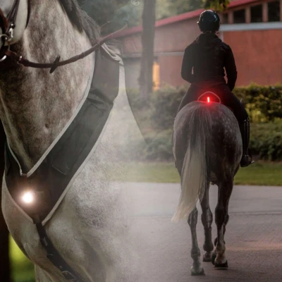 Abbildung von Kavalkade Horselight Set IVerkauft von HypoStore