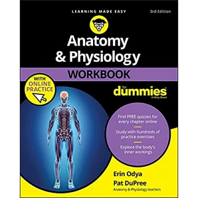 Abbildung von Anatomy &amp; Physiology Workbook For Dummies with Online Practice, 3rd Edition