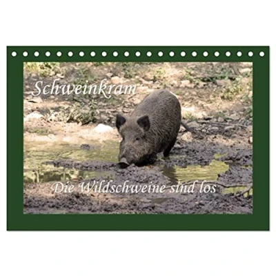 Abbildung von Schweinkram Die Wildschweine sind los (Tischkalender 2025 DIN A5 quer), CALVENDO Monatskalender