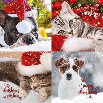 Abbildung von Weihnachtskarten Multipack, 12 Multipack Weihnachtskarten, 4 verschiedene Designs, Stück Tier Weihnachtskarte