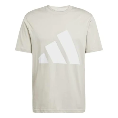 Abbildung von adidas Herren Essentials Big Logo Single Jersey Tee, Wonder Alumina/White, L