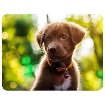 Abbildung von Silent Monsters Mauspad 360 x 250 mm Stoff Mousepad Welpe Hund rutschfest für Gaming Büro Office Homeoffice 36 25 cm Mouse Pad Mat Mausunterlage klein alle Maus Arten