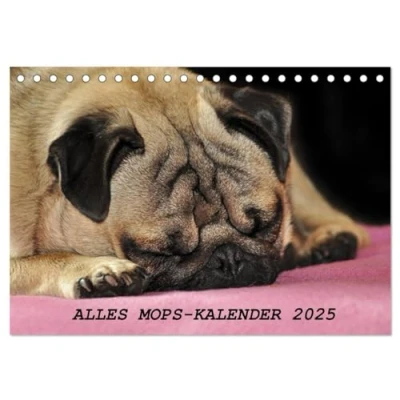 Abbildung von Alles Mops Kalender 2025 (Tischkalender DIN A5 quer), CALVENDO Monatskalender