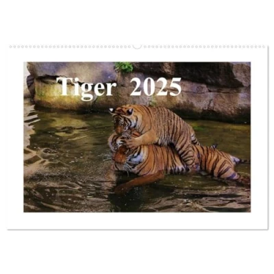 Abbildung von Tiger 2025 (Wandkalender DIN A2 quer), CALVENDO Monatskalender