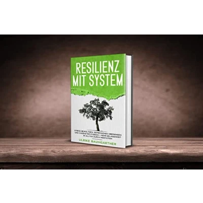 Abbildung von Resilienz mit System: Der Weg zur inneren Stärke: Stress bewältigen, Depressionen überwinden und Charakter stärken + Mehr Gelassenheit im Alltag durch Meditation