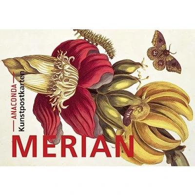 Abbildung von Postkarten Set Maria Sibylla Merian: 18 Kunstpostkarten aus hochwertigem Karton. ca. 0,28 pro Karte (Anaconda Postkarten, Band 2)