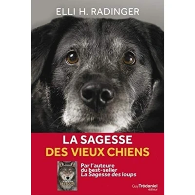 Abbildung von la sagesse des vieux chiens: Tout ce que le meilleur ami de l&#039;homme peut nous apprendre vie