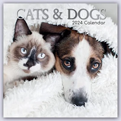 Abbildung von Cats &amp; Dogs Katzen Hunde 2024 16 Monatskalender: Original Gifted Stationery Kalender [Mehrsprachig] [Kalender] (Wall Kalender)