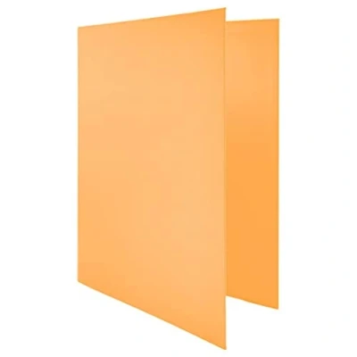 Abbildung von Raylu Paper® 4 x D Ringbuch 25 mm, A4 Ordner mit Ringen zur Aufbewahrung von Dokumenten, Größe 33,5 cm hoch 26 breit und dicker Rücken (Pastellorange)