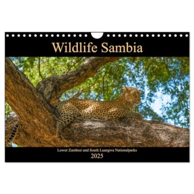 Abbildung von Wildlife Sambia (Wandkalender 2025 DIN A4 quer), CALVENDO Monatskalender