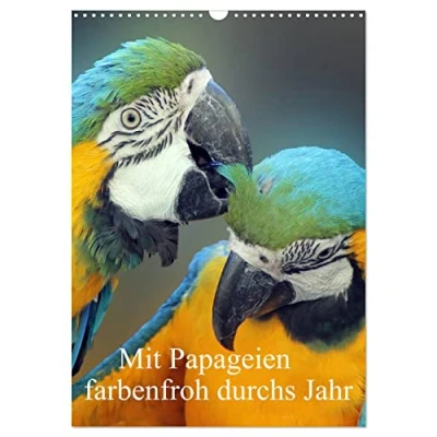 Abbildung von Mit Papageien farbenfroh durchs Jahr (Wandkalender 2025 DIN A3 hoch), CALVENDO Monatskalender