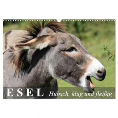 Abbildung von Esel hübsch, klug und fleißig (Wandkalender 2025 DIN A3 quer), CALVENDO Monatskalender