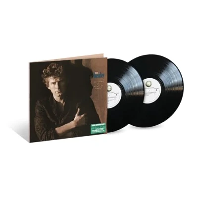 Abbildung von Building The Perfect Beast (2LP) [Vinyl LP]