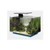 Abbildung von SuperFish quadro 40 mehrfarbig schwarz