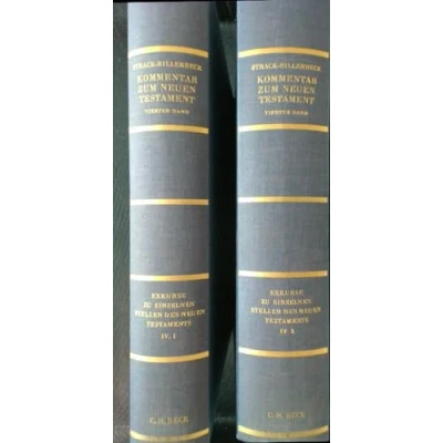 Abbildung von Kommentar zum Neuen Testament, 6 Bde., Bd.4, Exkurse zu einzelnen Stellen des Testaments, in 2 Tl. Bdn.: Abhandlungen zur neutestamentlichen Theologie und Archäologie