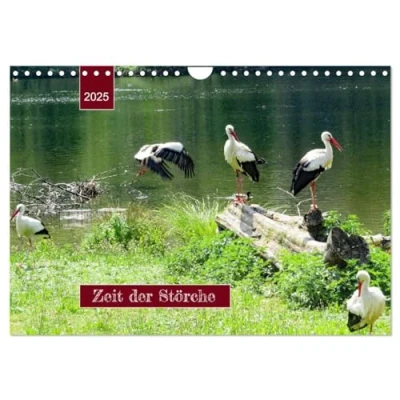 Abbildung von Zeit der Störche (Wandkalender 2025 DIN A4 quer), CALVENDO Monatskalender
