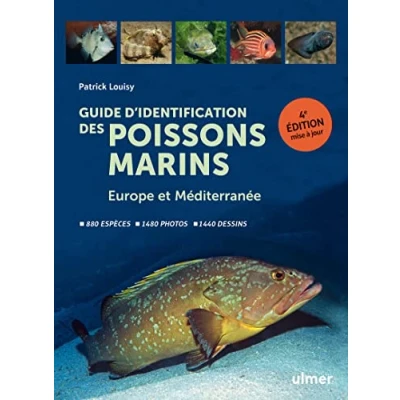 Abbildung von Guide d&#039;identification des poissons marins Europe et Méditerranée