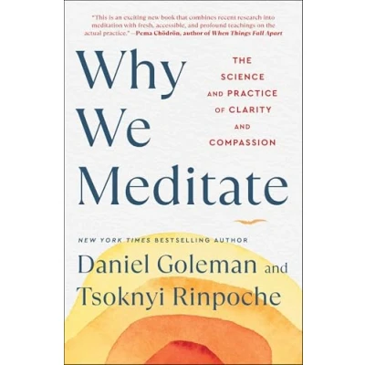 Abbildung von Why We Meditate: The Science and Practice of Clarity Compassion