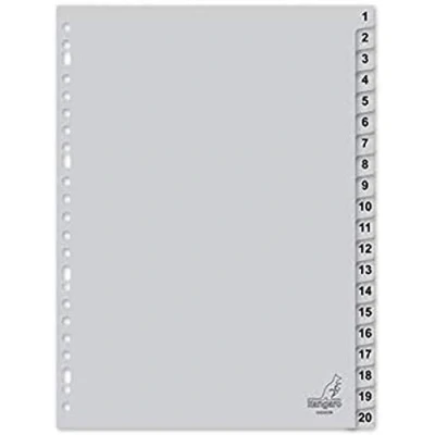 Abbildung von Register Kangaro A4 Ziffer PP 120 micron 23r. 20tlg grau