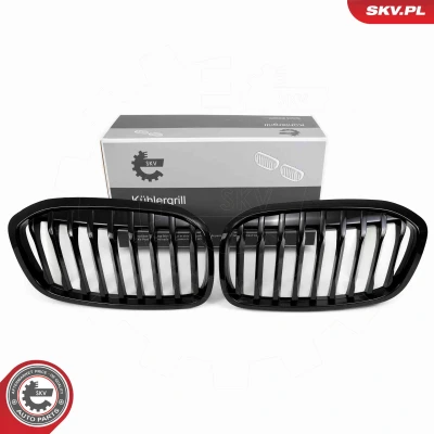 Abbildung von ESEN SKV 66SKV041 Kühlergrill beidseitig schwarz, glänzend BMW: 2 Active Tourer, Gran Tourer