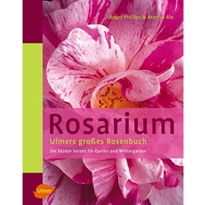 Abbildung von Rosarium: Ulmers großes Rosenbuch. Die besten Sorten für Garten und Wintergarten: grosses Wintergarten